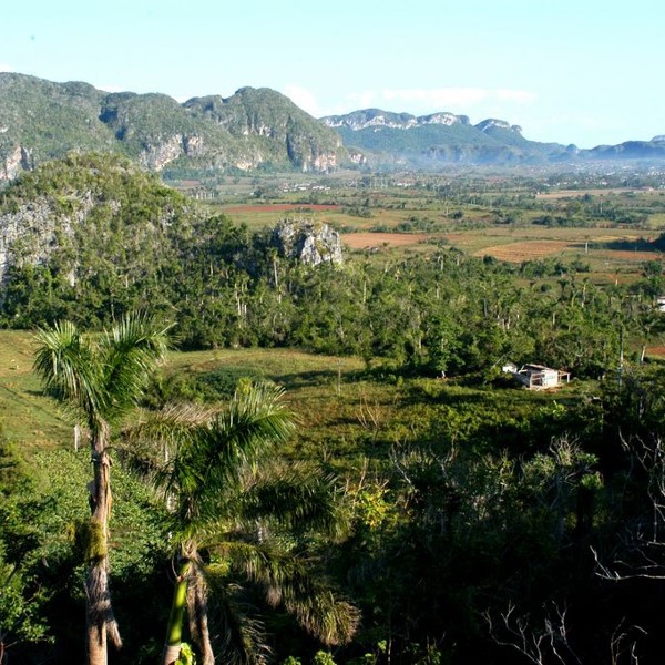 Flot udsigt over Pinar del Rio - Valle de Vinales, Cuba
