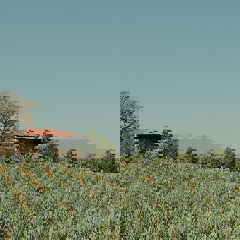 austin-curtis-eA3DJxqDSQ4-unsplash