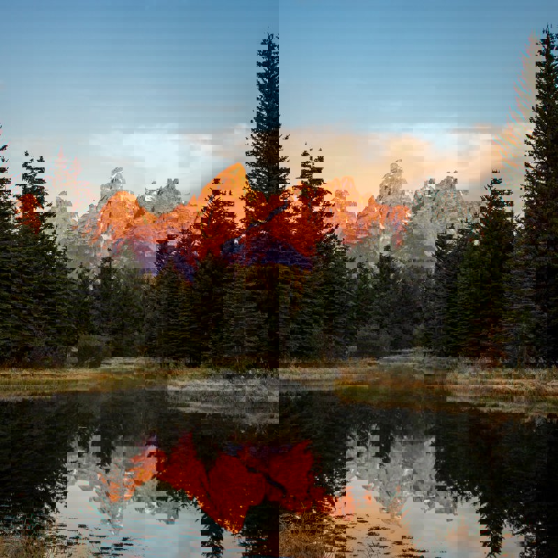 cora-leach-p0jz4pmnl9E-unsplash