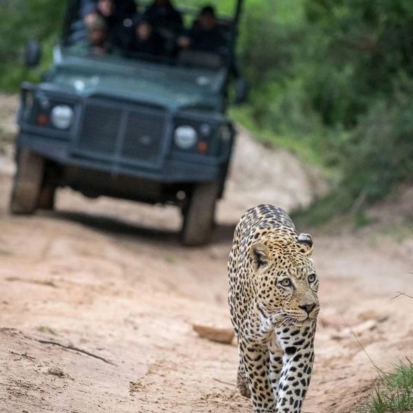 Pumba Private Game Reserve - Sydafrika