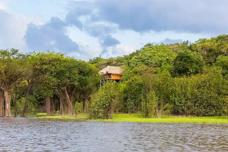 Rejs til Juma Lodge i Amazonas