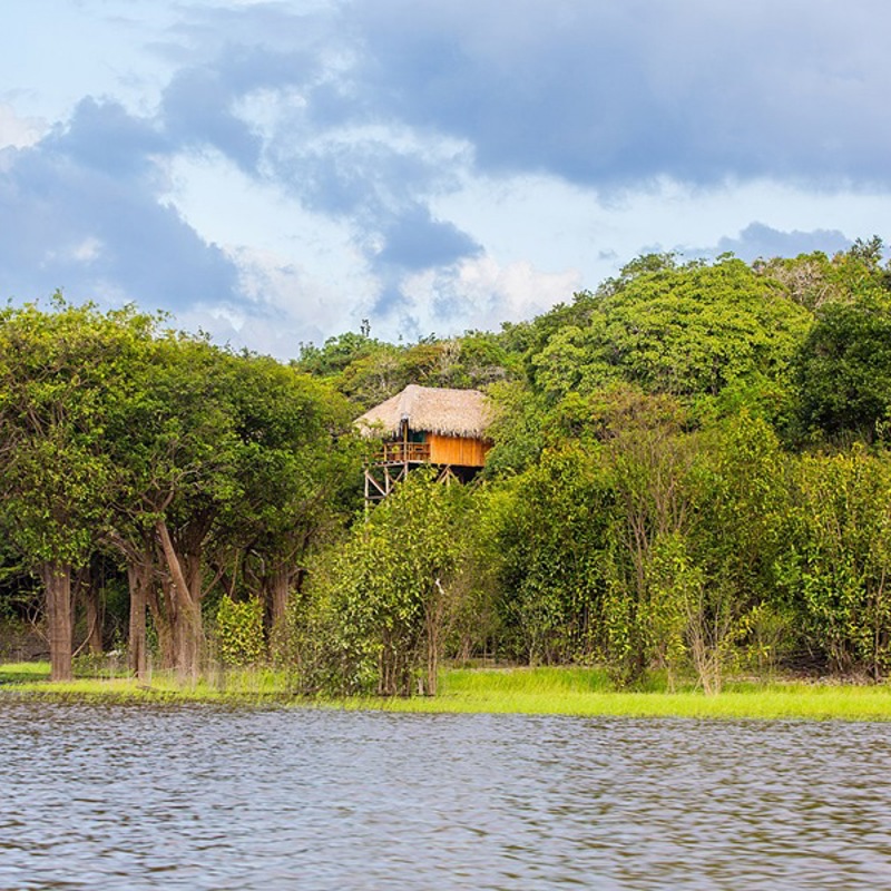 Bungalow i Amazon junglen på Juma Lodge
