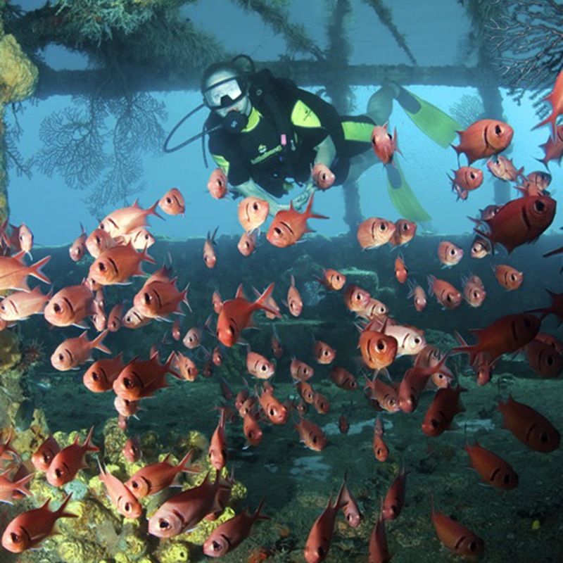 Dykning på St. Lucia