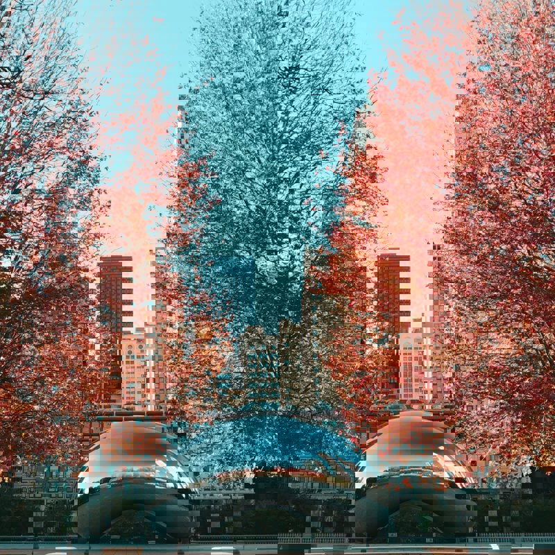 antonio-gabola-SRP5wl4Ak88-unsplash