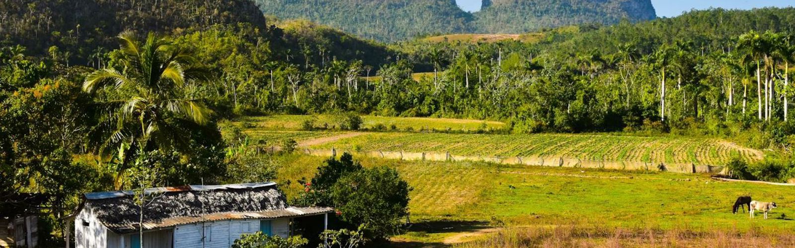 I:\AXUMIMAGES\Caribien\Cuba\Pakker\Cubansk kør selv eventyr\Vinales