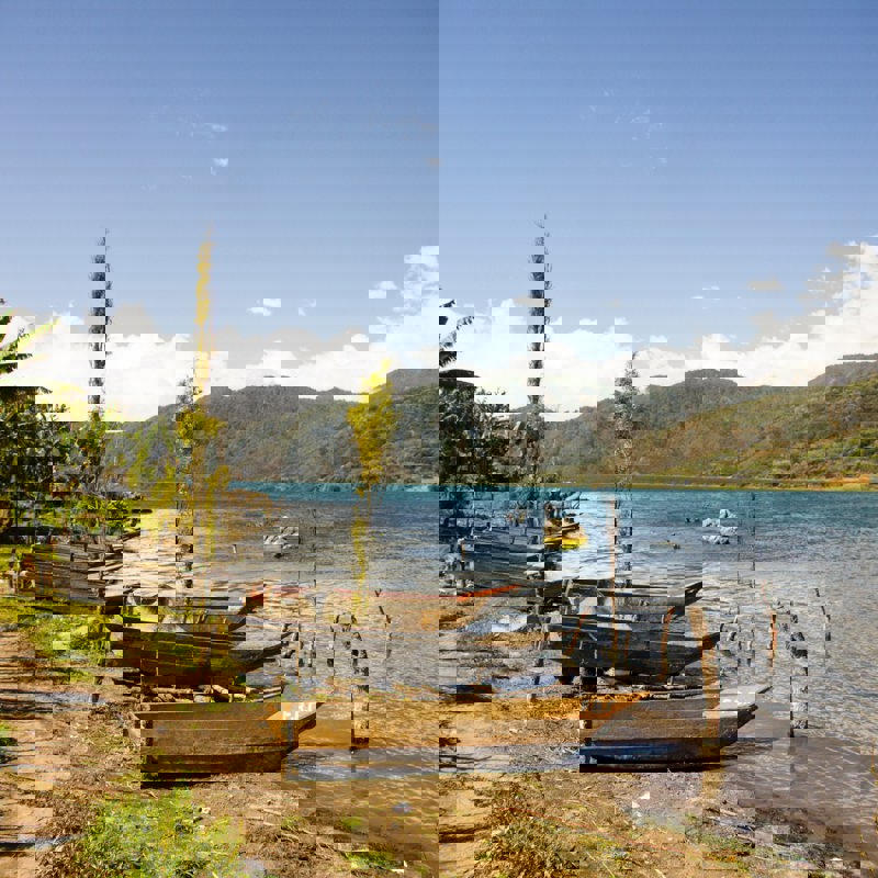 robin-canfield-uGZR6bEZvkk-unsplash