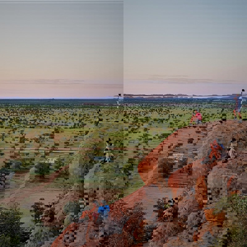 claudio-piacentino-wedwBlXvPc4-unsplash