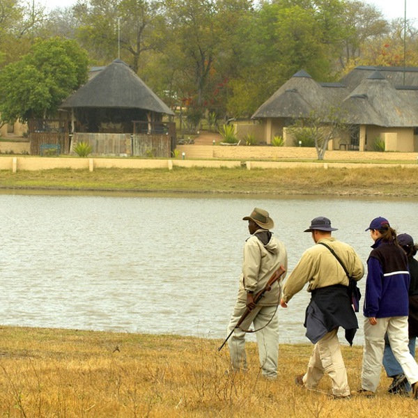 På bushwalk ved logen