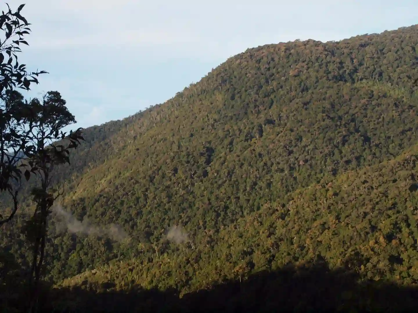 cerro de la muerte