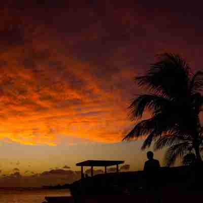 Tropisk solnedgang over havet