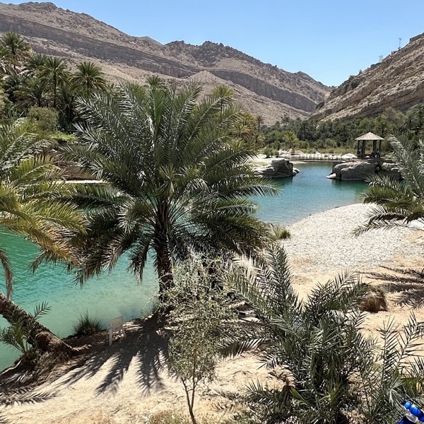 Turkisblåt vand ved Wadi Bani Khalid i Oman