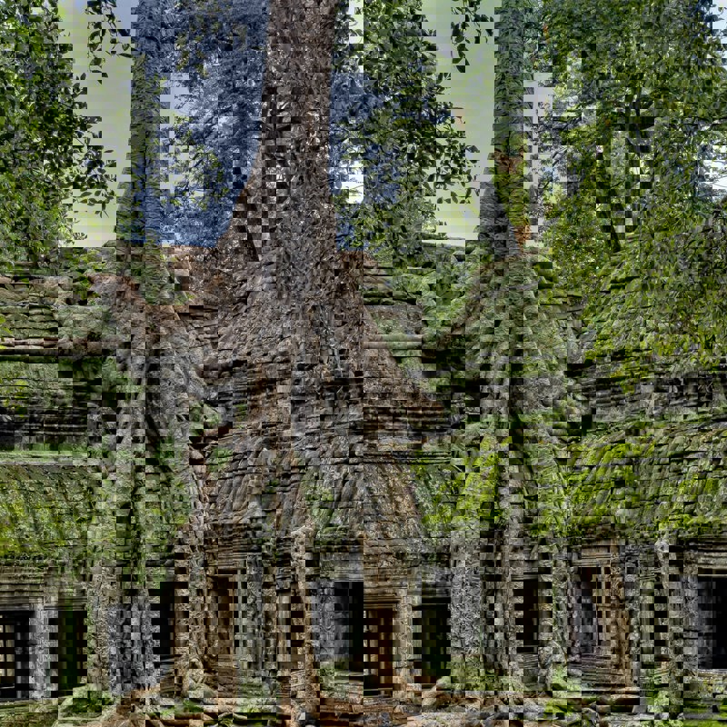 james-wheeler-9zXMb-E8pI0-unsplash