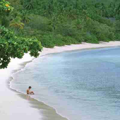 Hvidt sand, blåt hav og grønne træer - dette er Fiji