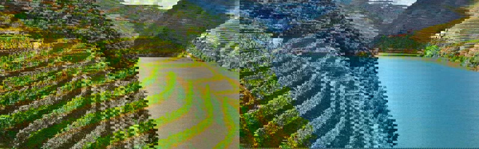 Douro-dalens vinmarker og flod