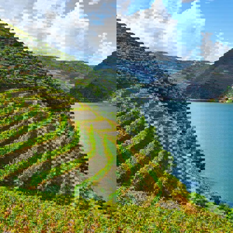Douro-dalens vinmarker og flod