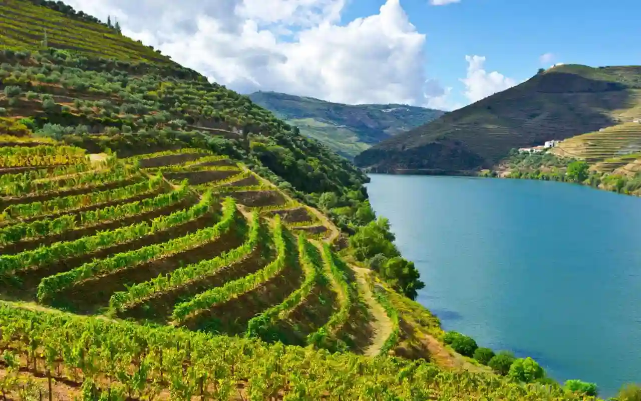 Douro-dalens vinmarker og flod