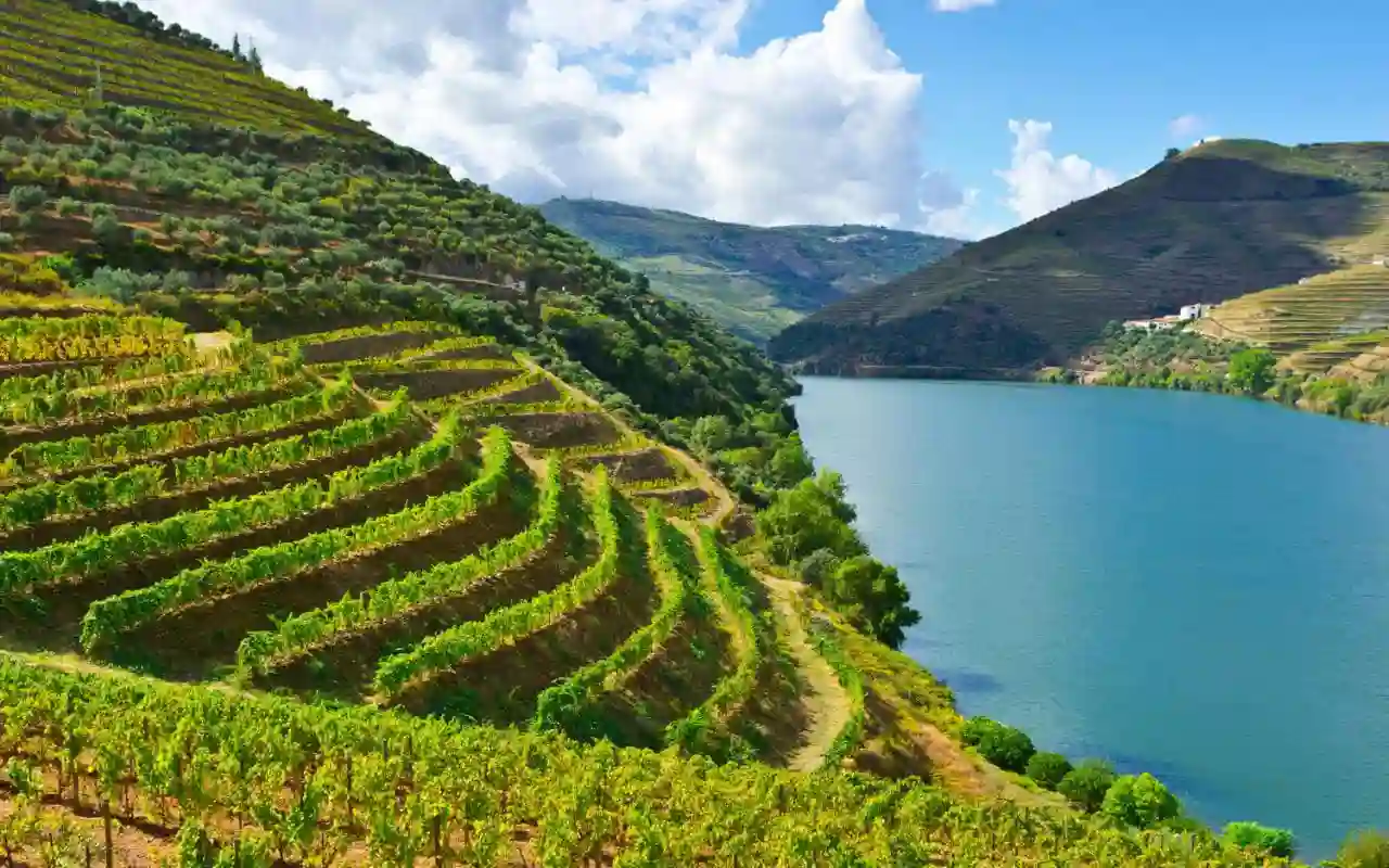 Douro-dalens vinmarker og flod