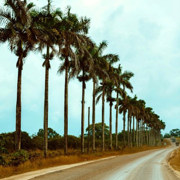 Rejser til San Ignacio