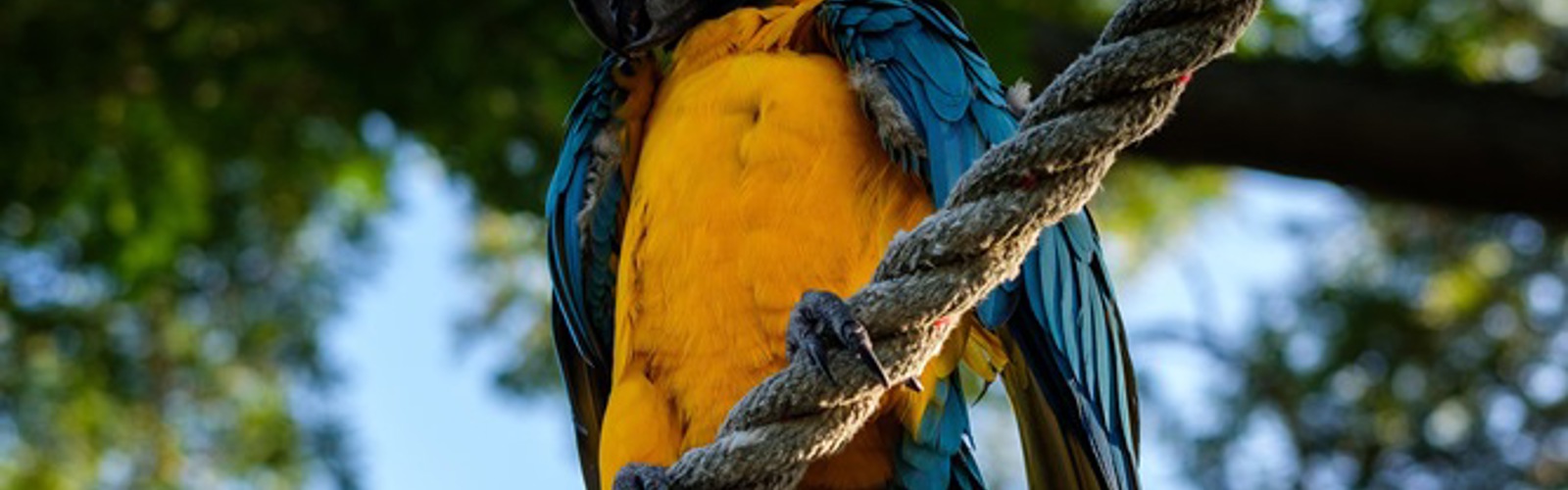 Deshaies Botanical Garden, Deshaies, Guadeloupe