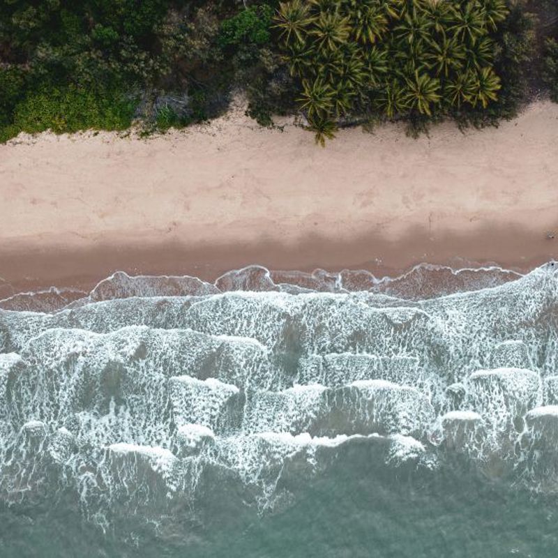 Rejser til Port Douglas