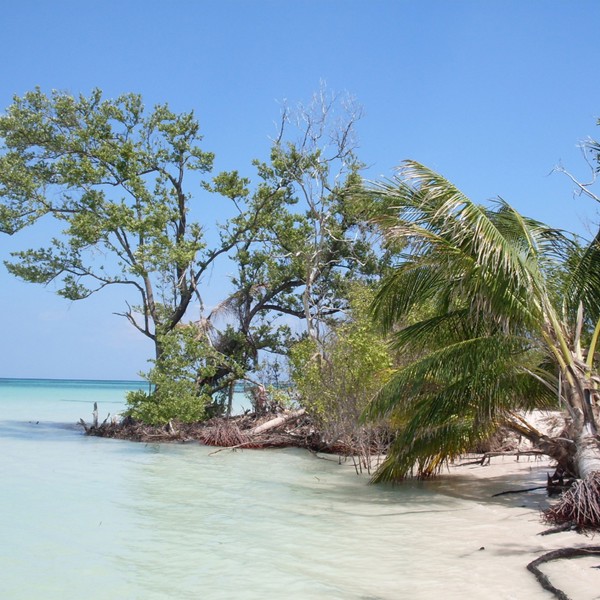 cayo levisa strand