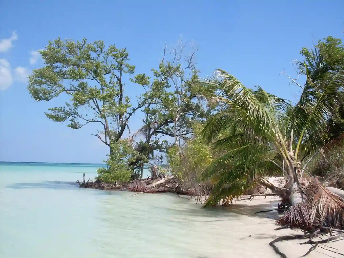 cayo levisa strand