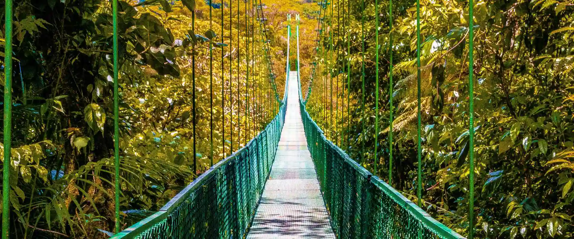 Monteverde Bannerbillede