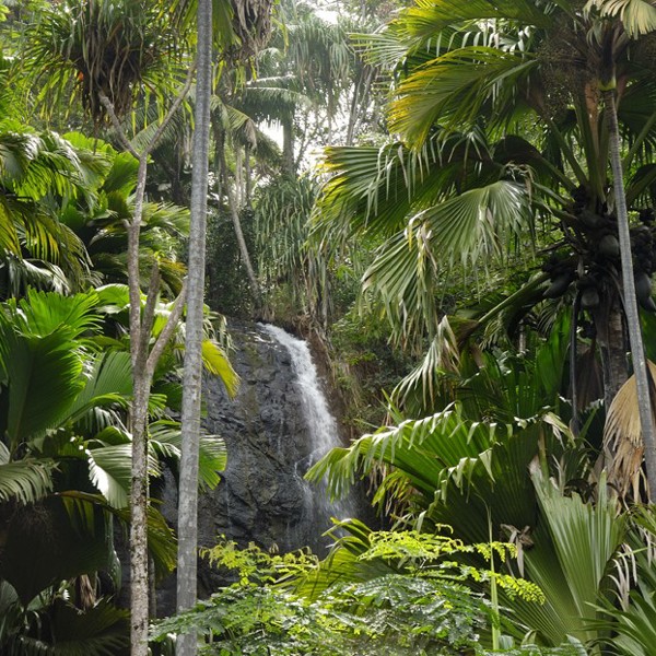 Praslin, Seychellerne