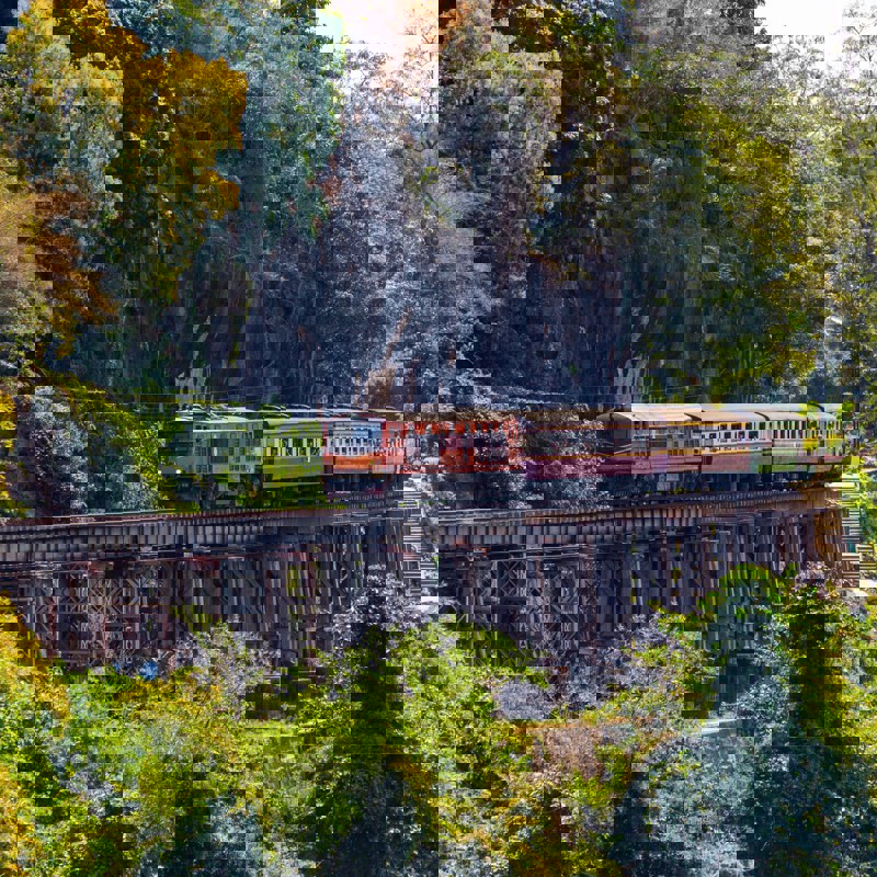 maria-krasnova-nwcUQlFgQ7w-unsplash