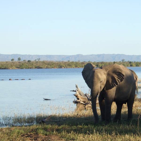 Lake Kariba, Zimbabwe, Afrika