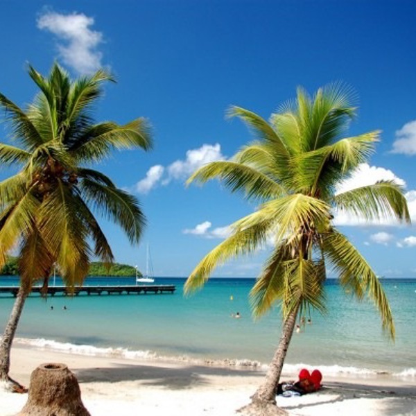 Plamer på stranden på Guadeloupe