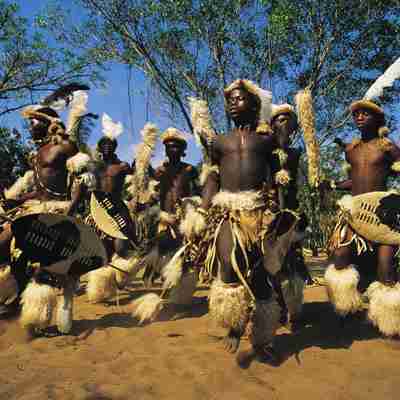 Zulu dansere, KwaZulu Natal, Sydafrika