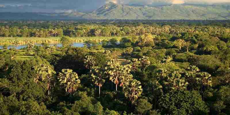 Frodigt landskab i Malawi (1)