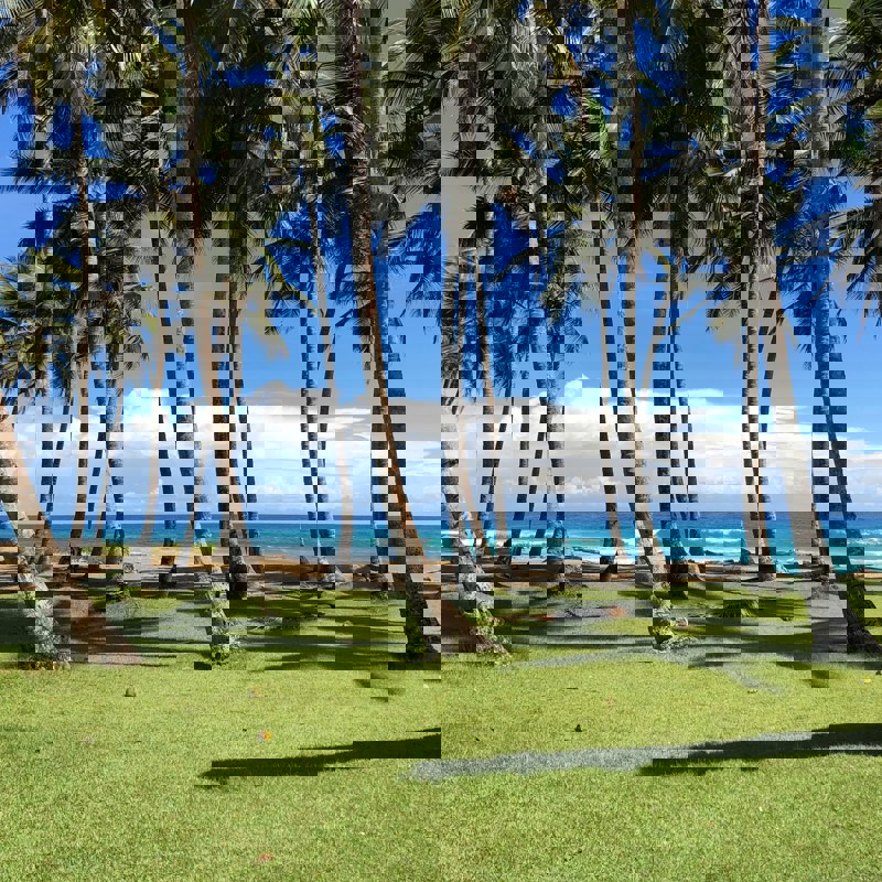 starlin-tatis-NYKu7TSZhVM-unsplash