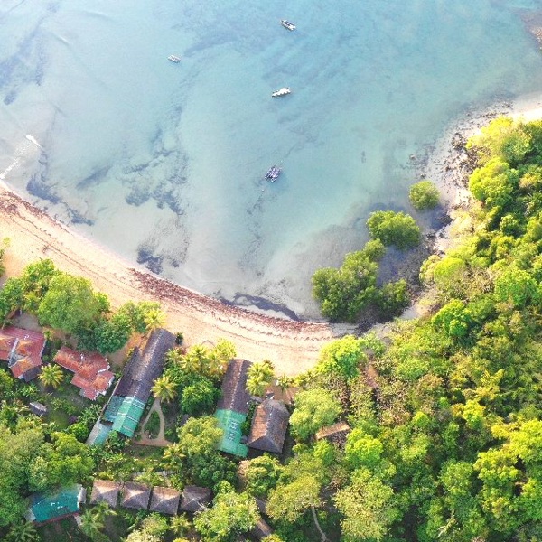 Billed fra oven over strand og skov