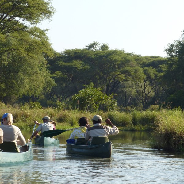 Leopard, Lower Zambezi, Zambia
