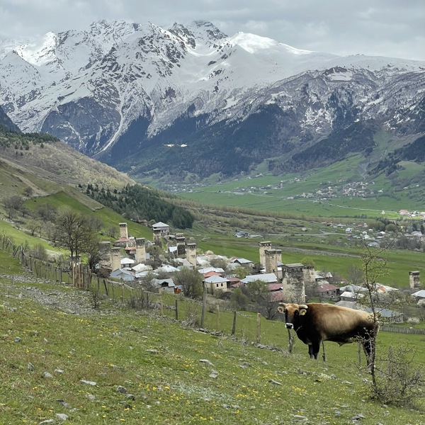 Bjerge og grønt landskab i Georgien