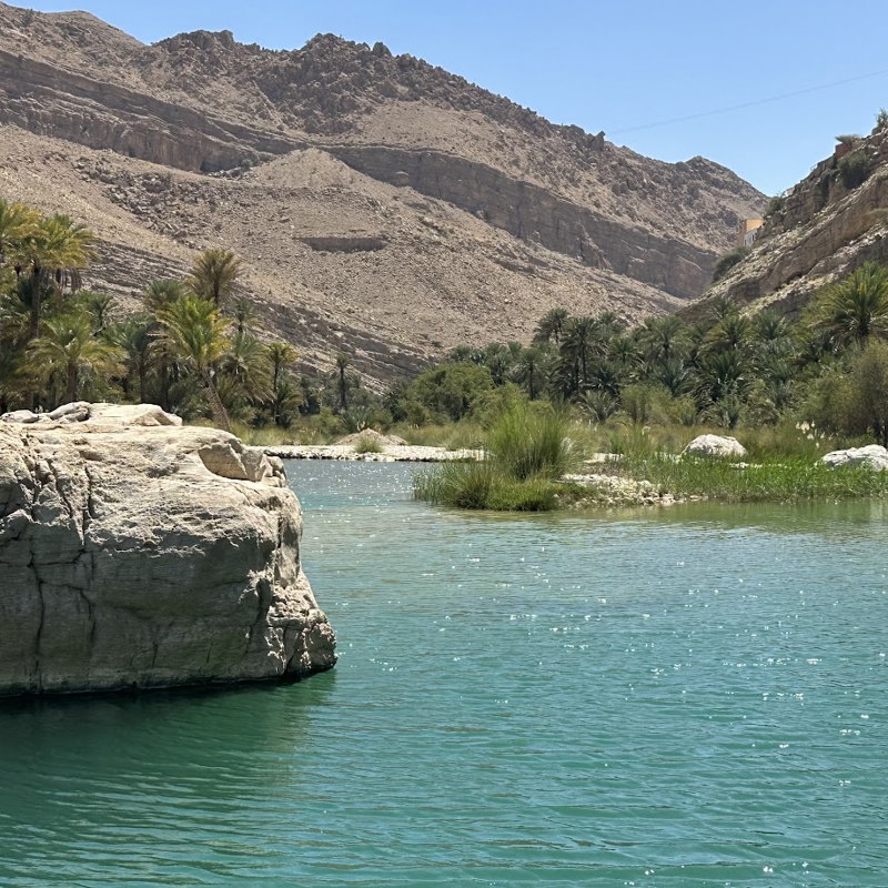 Smuk oase i Wadi Bani Khalid i Oman