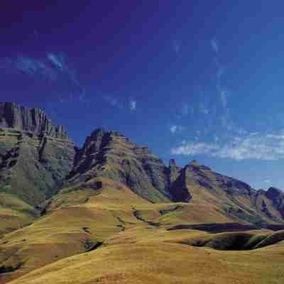 Golde bjergesider i Drakensberg, KwaZulu Natal, Sydafrika