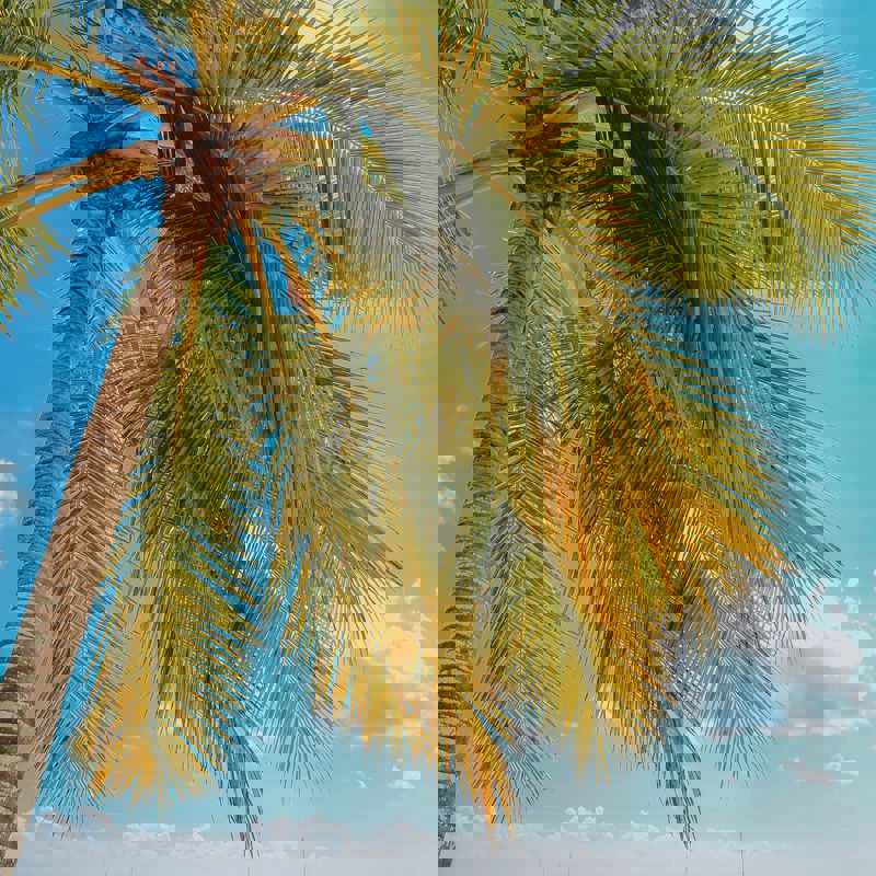 marina-abrosimova-MJbKjpHdtw4-unsplash