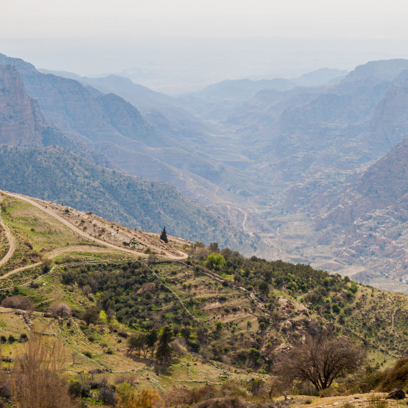Dana biosphere reserve