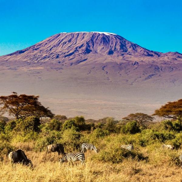 kilimanjaro unsplash