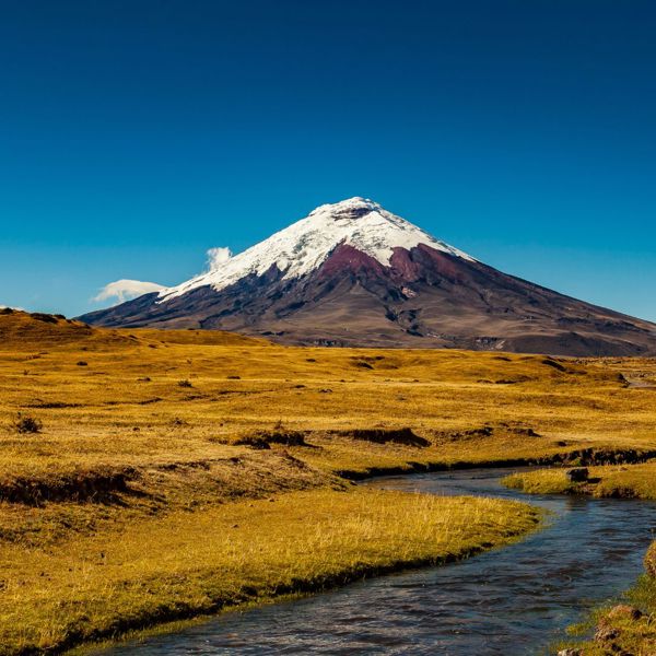 Cotopaxi