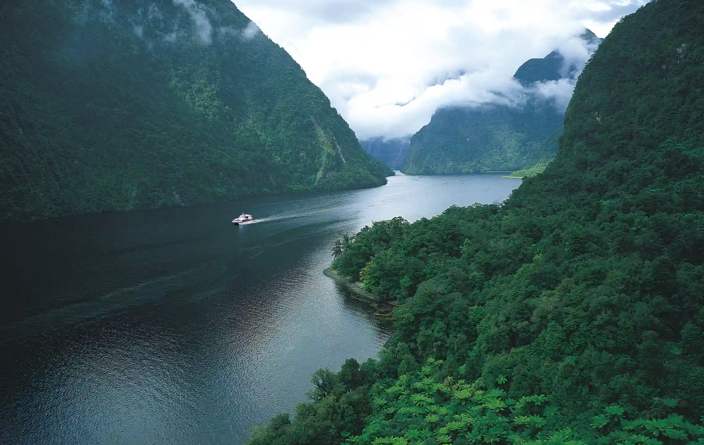 Flot sejlads på Doubtful Sound