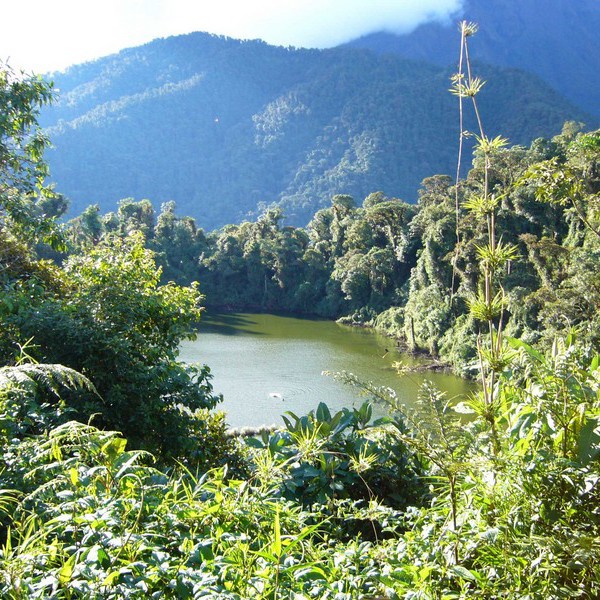 Amazonas, frodigt landskab