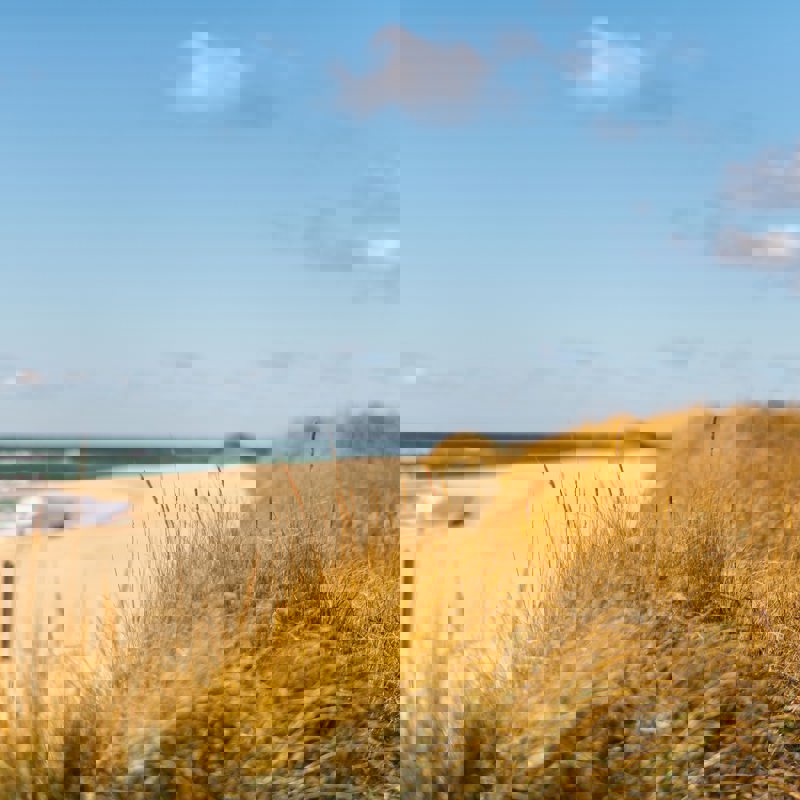 jack-cohen-9dL-OLwcaMU-unsplash