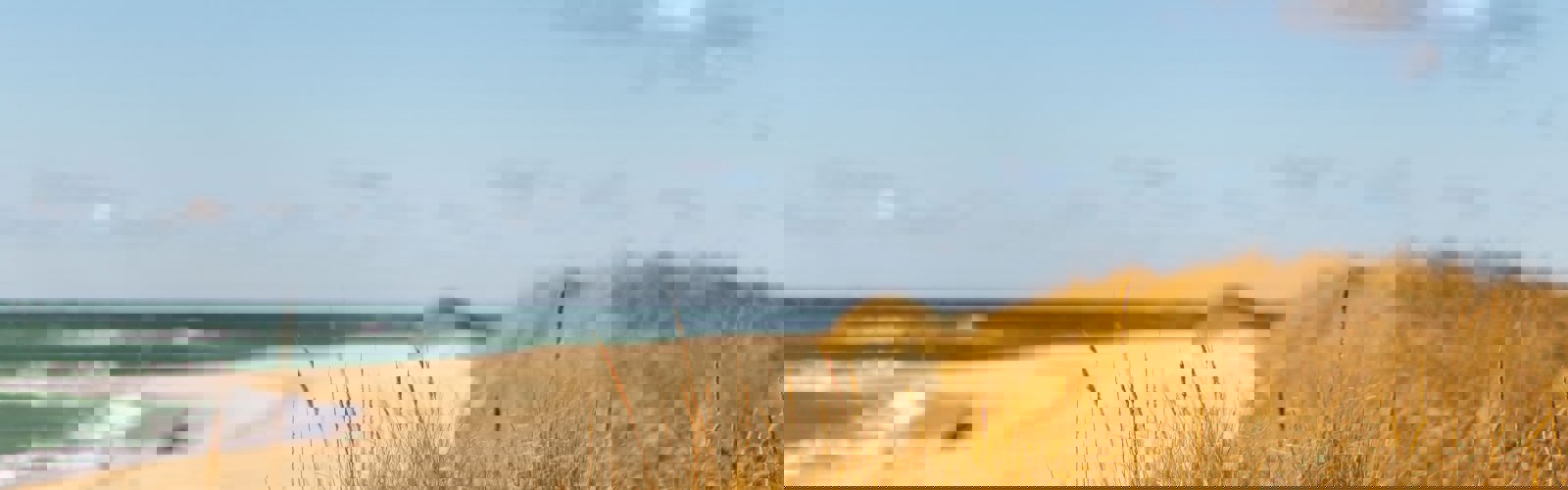 jack-cohen-9dL-OLwcaMU-unsplash