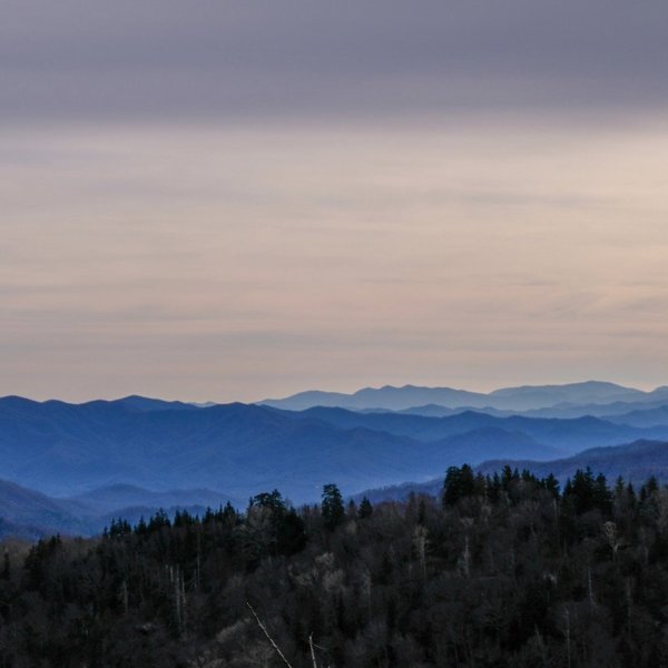 Vandreture og hiking i Great Smokey Mountains