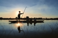 Smuk aften i Okavango Deltaet