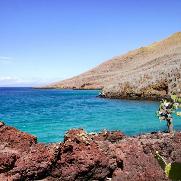 Galapagos - Rabida Island